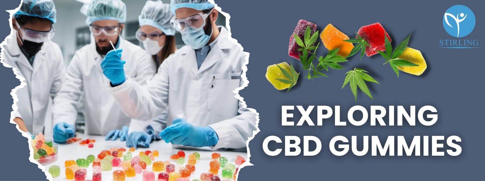 Exploring CBD Gummies A Sweet and Chewy Option for CBD Users