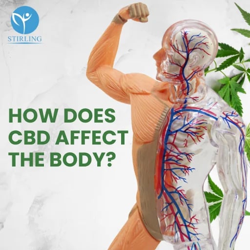 How Does Taking CBD Affect the Human Body