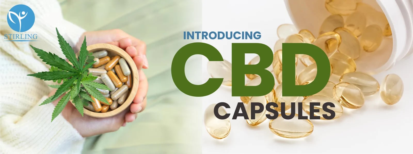 Introducing CBD Capsules Meeting Your CBD Needs in an Encapsulated Form