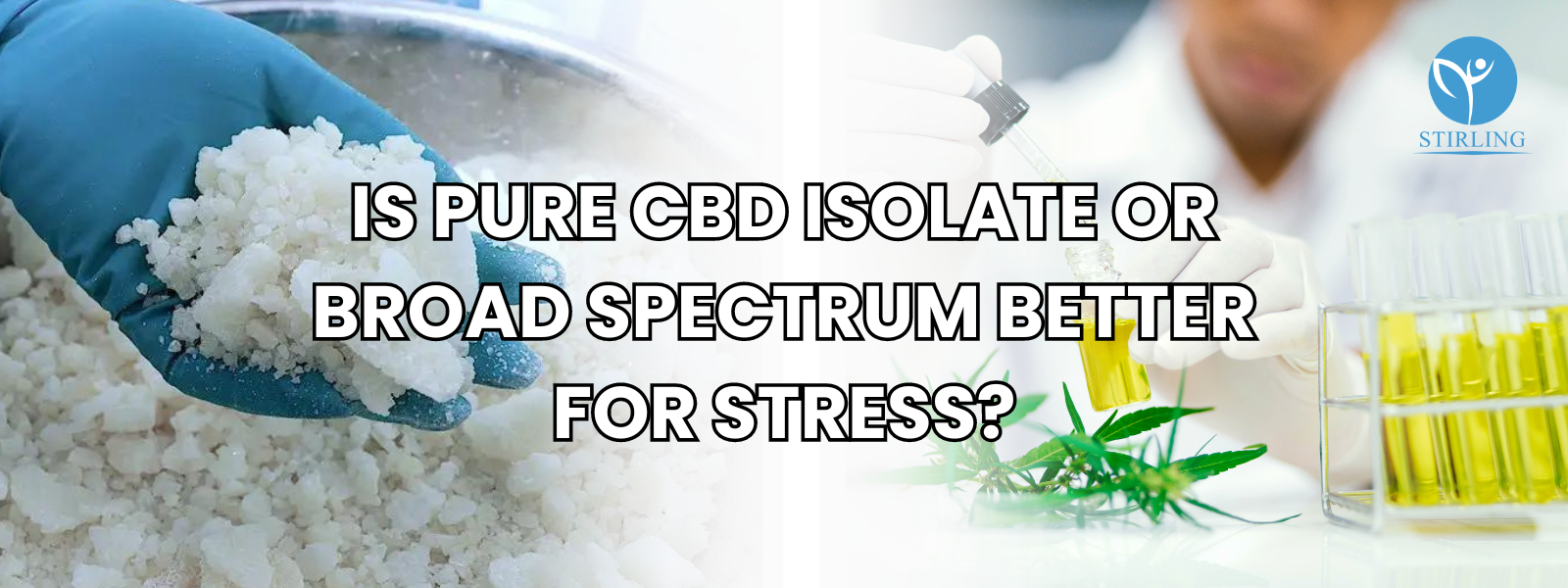 Is Pure CBD Isolate Or Broad Spectrum Better for Stress