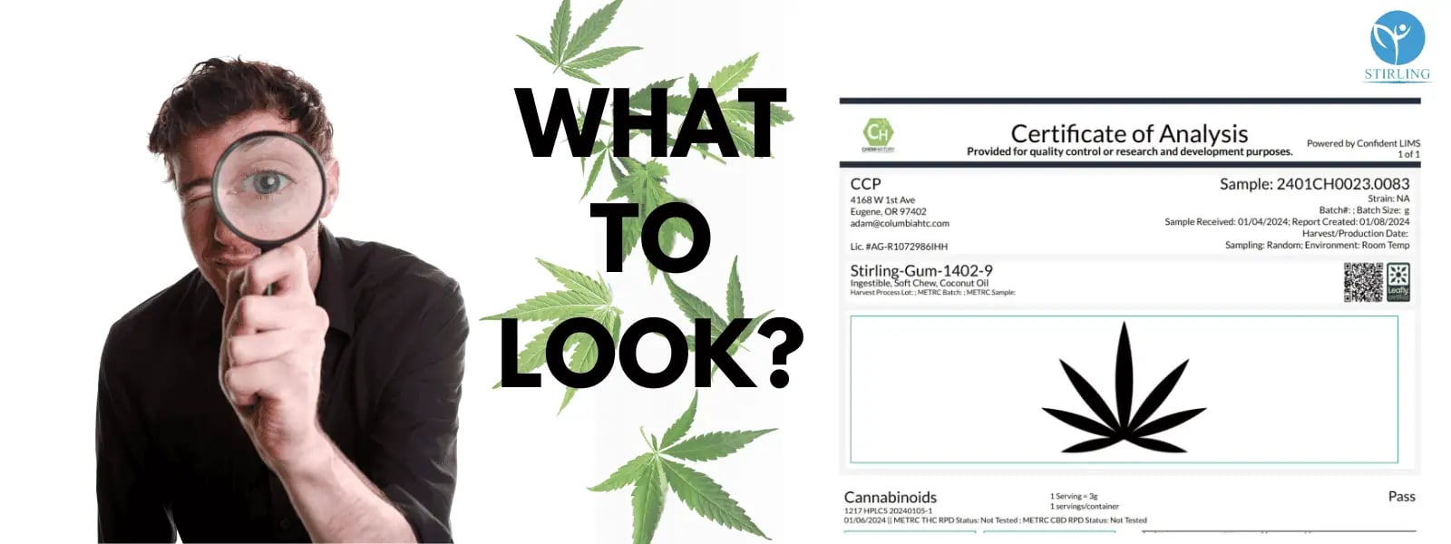 What To Look for In A COA