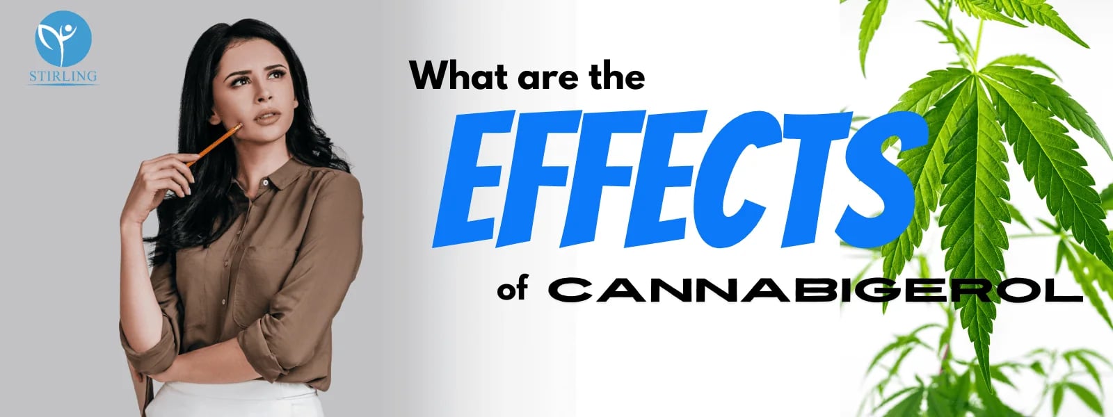 What are the Effects of Cannabigerol