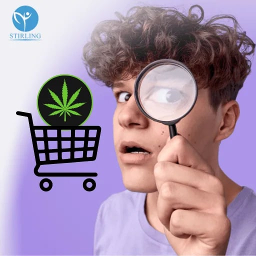 What to Look for When Buying CBD in Florida