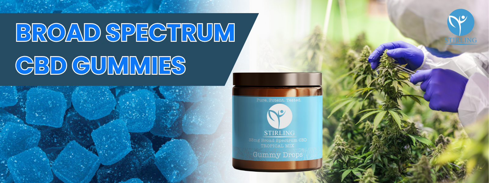 Broad Spectrum CBD Gummies