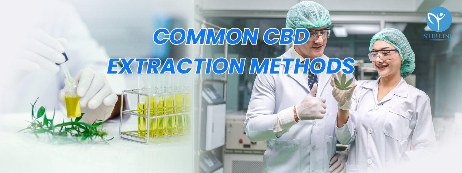 Common CBD Extraction Methods