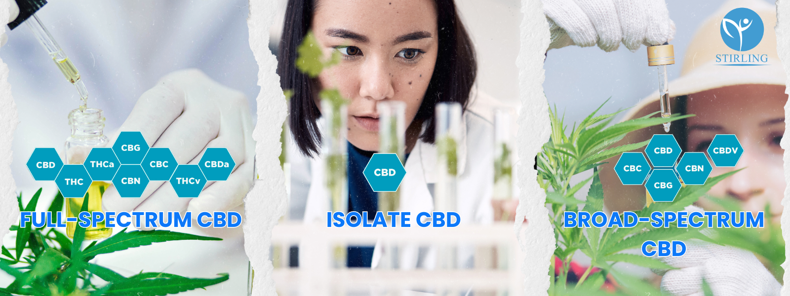 Types of CBD
