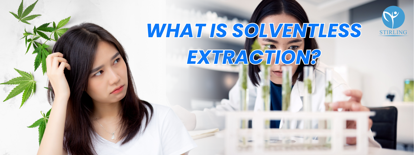 What is Solventless Extraction
